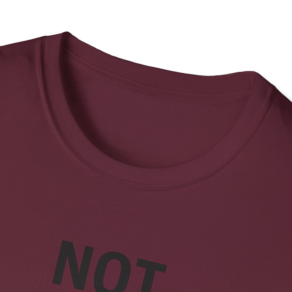 Not What I Planned T-Shirt