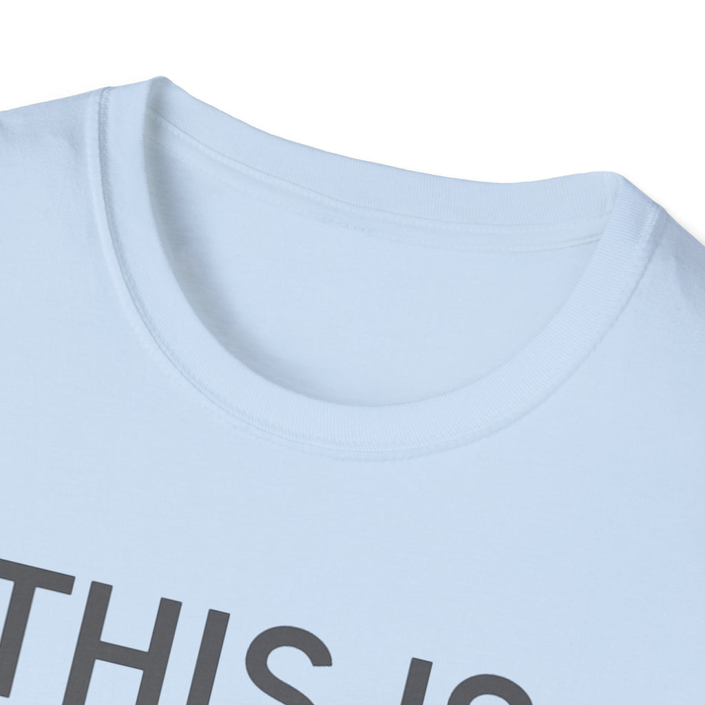 This Is How Today Went T-Shirt