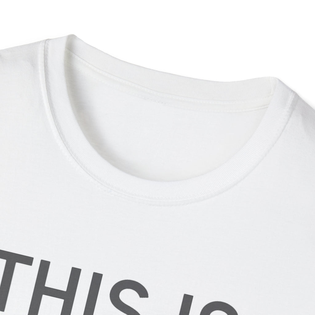 This Is How Today Went T-Shirt