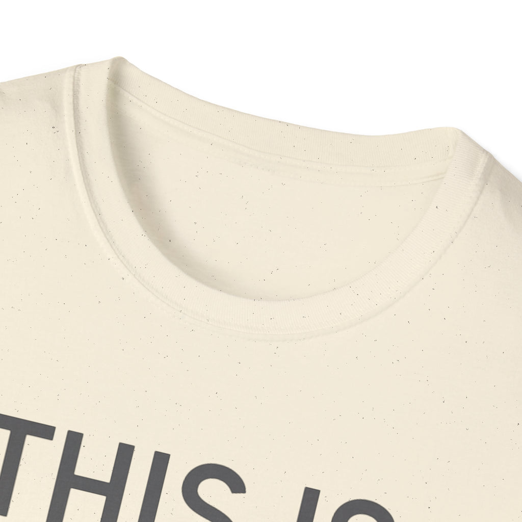 This Is How Today Went T-Shirt